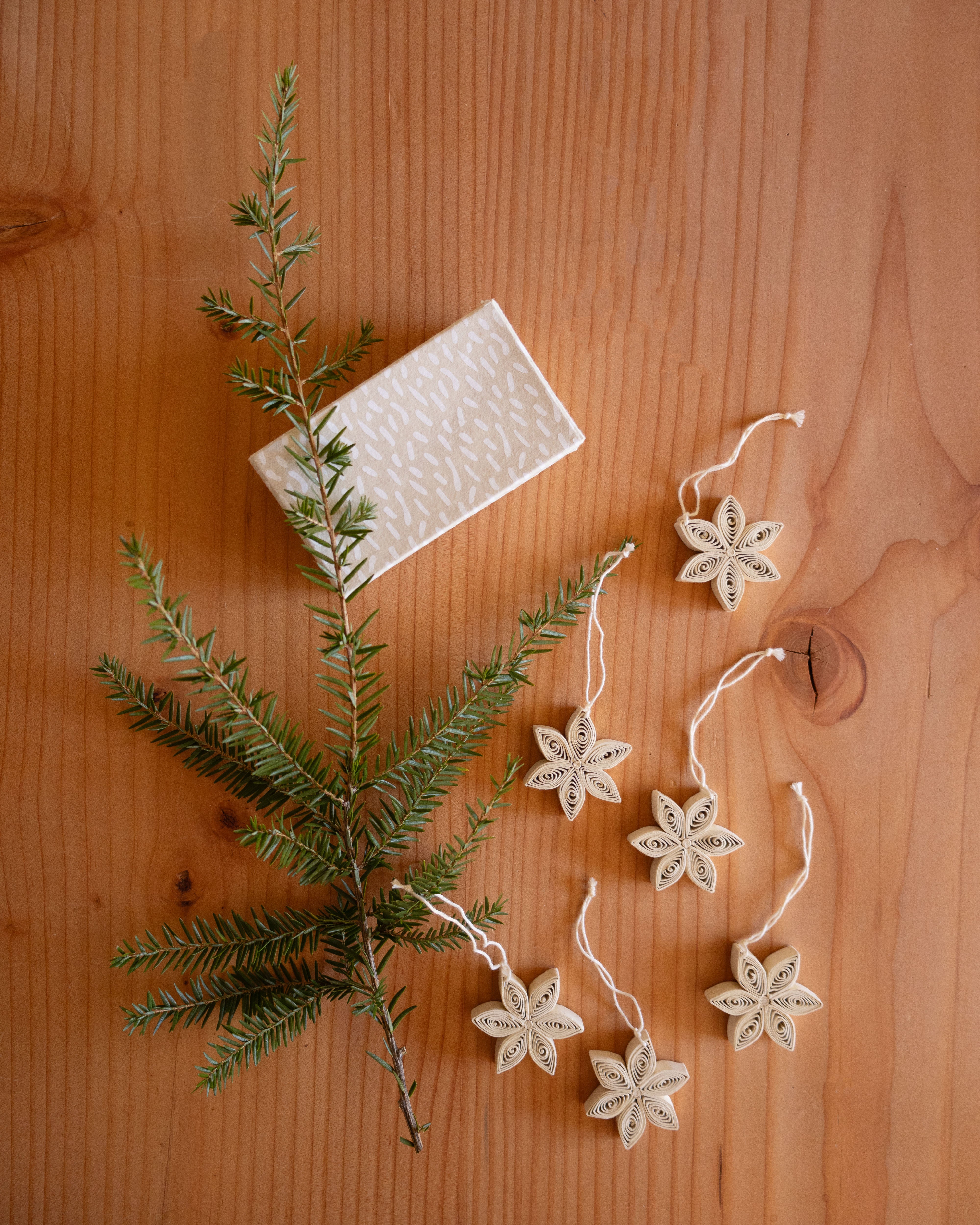Quilled Stars Box of 6