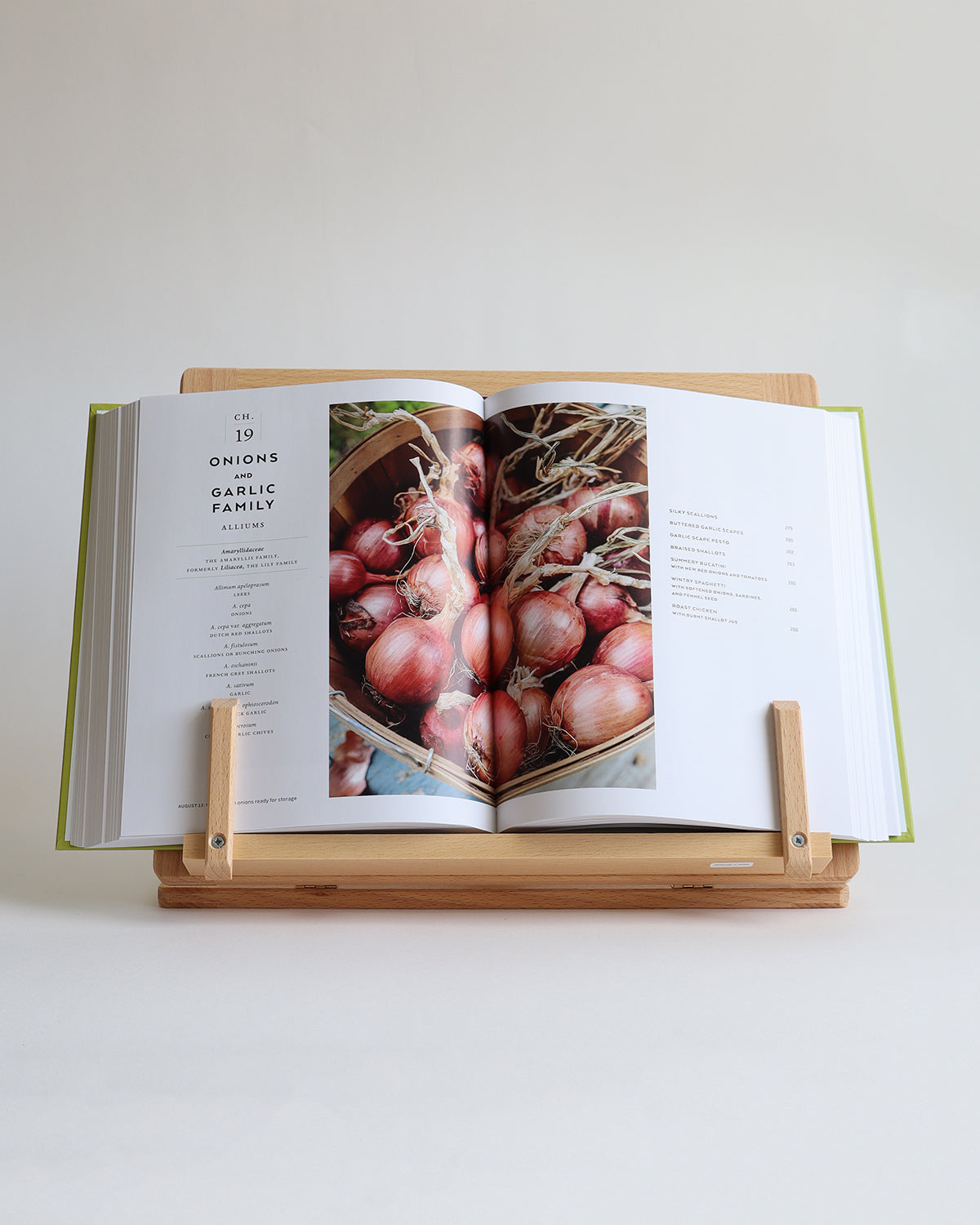 Beech Wood Bookstand