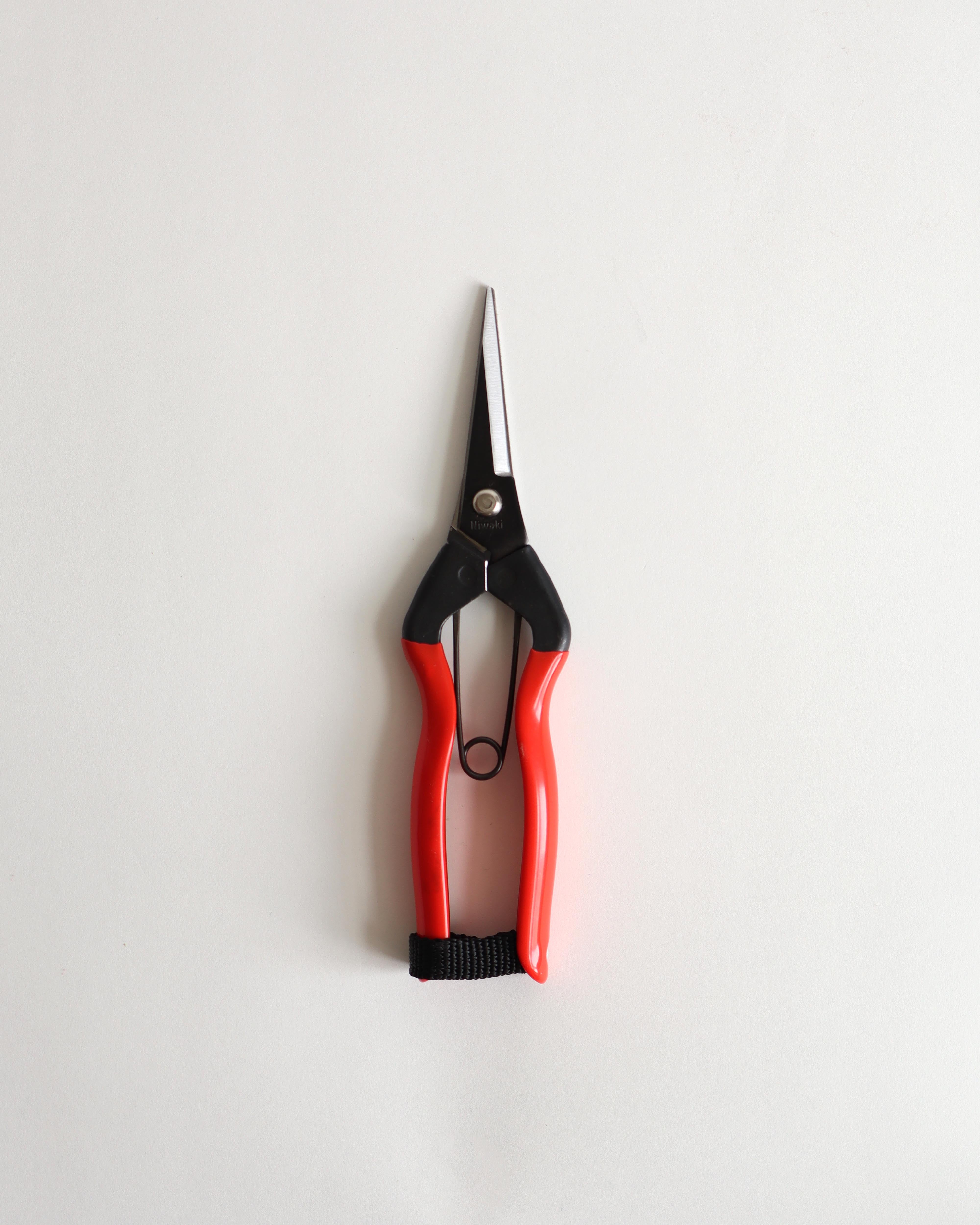 Garden Snips