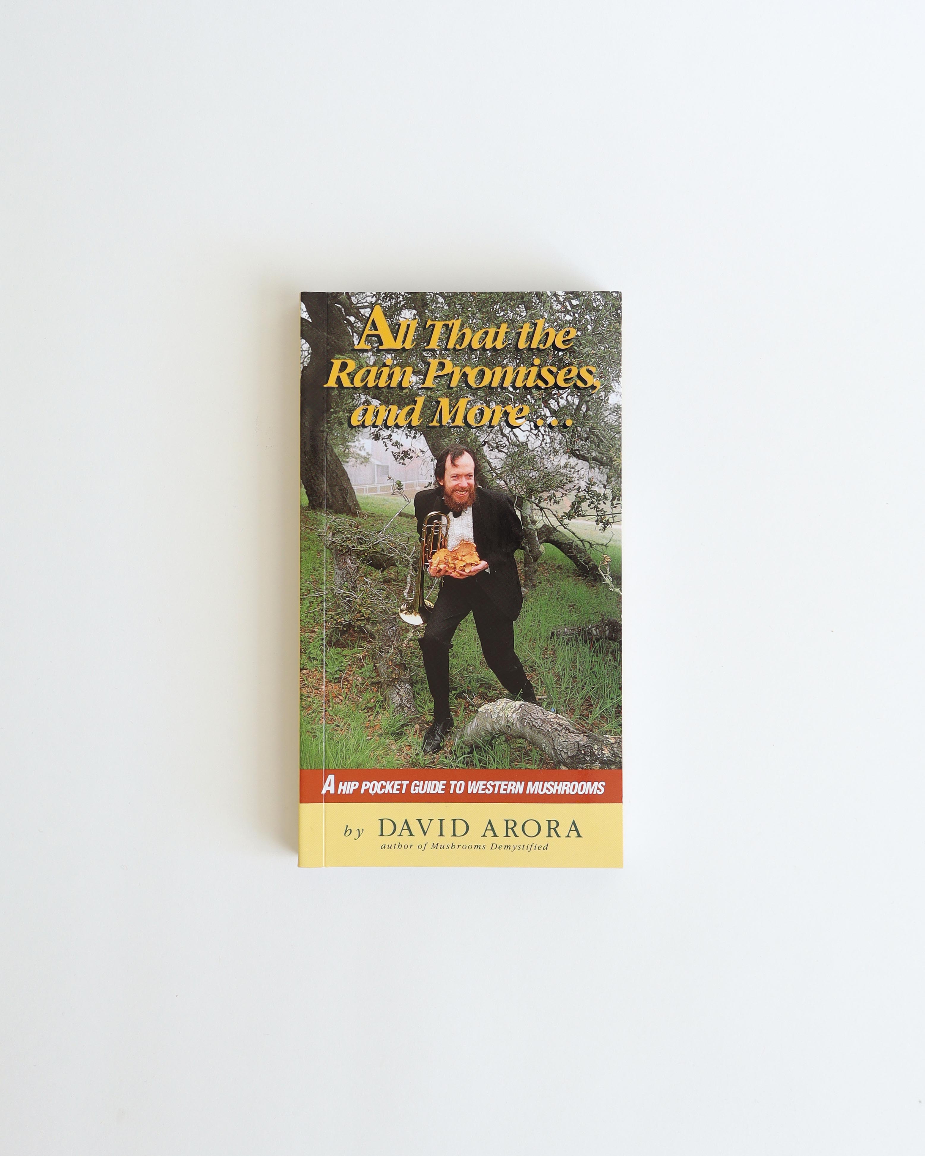 All That Rain Promises & More