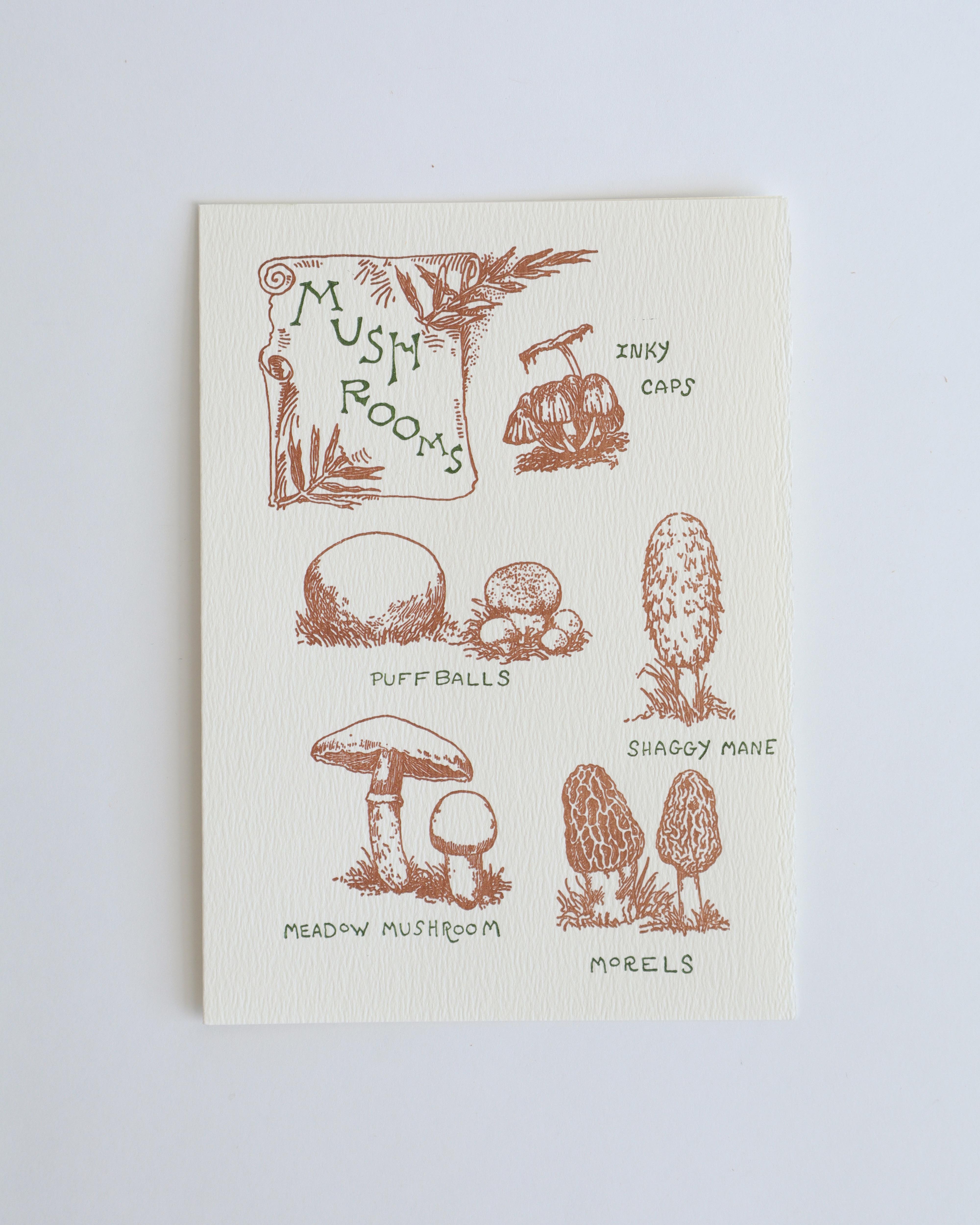 Mushroom Guide Card