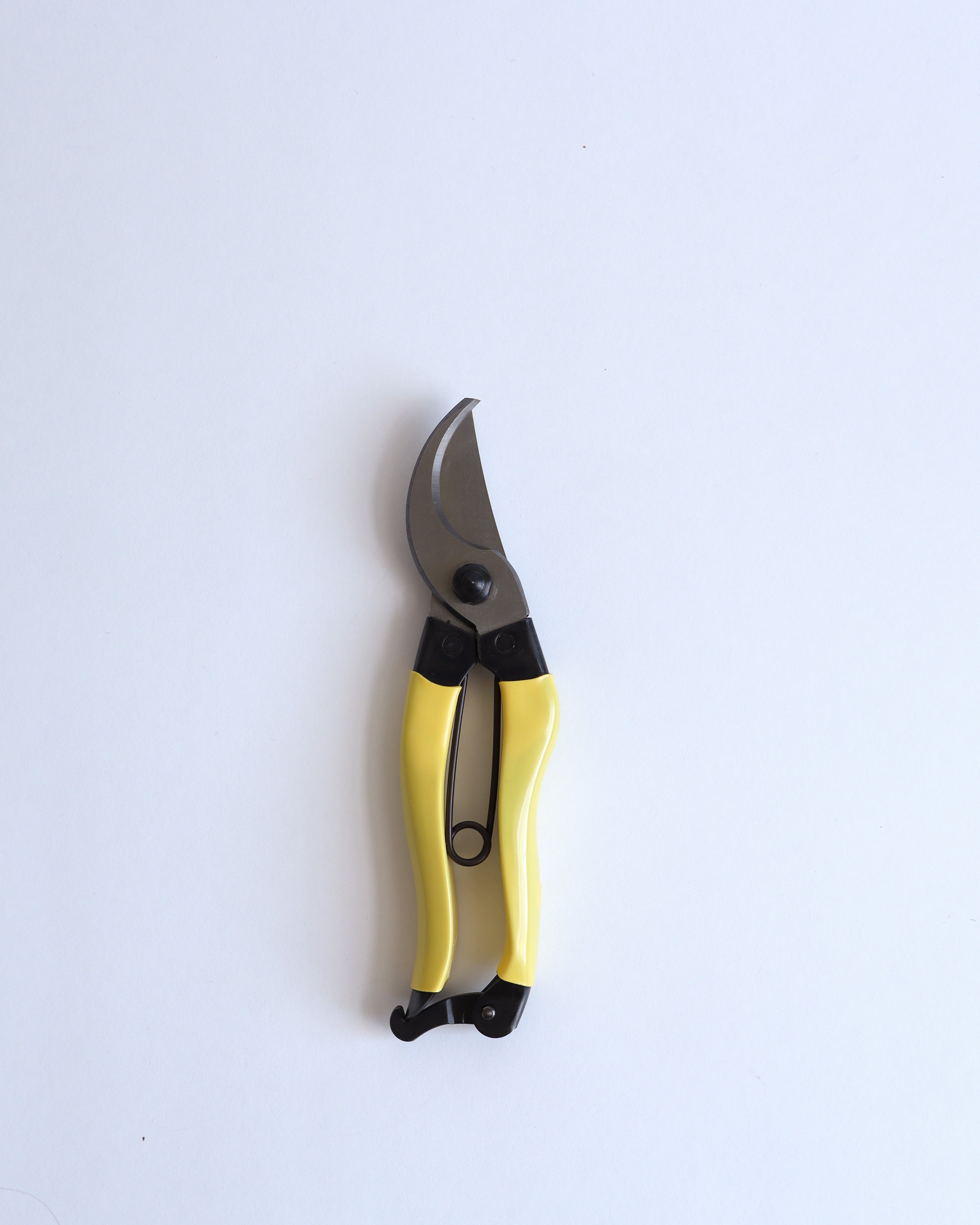 Pruners (Secateurs) Small Right Handed