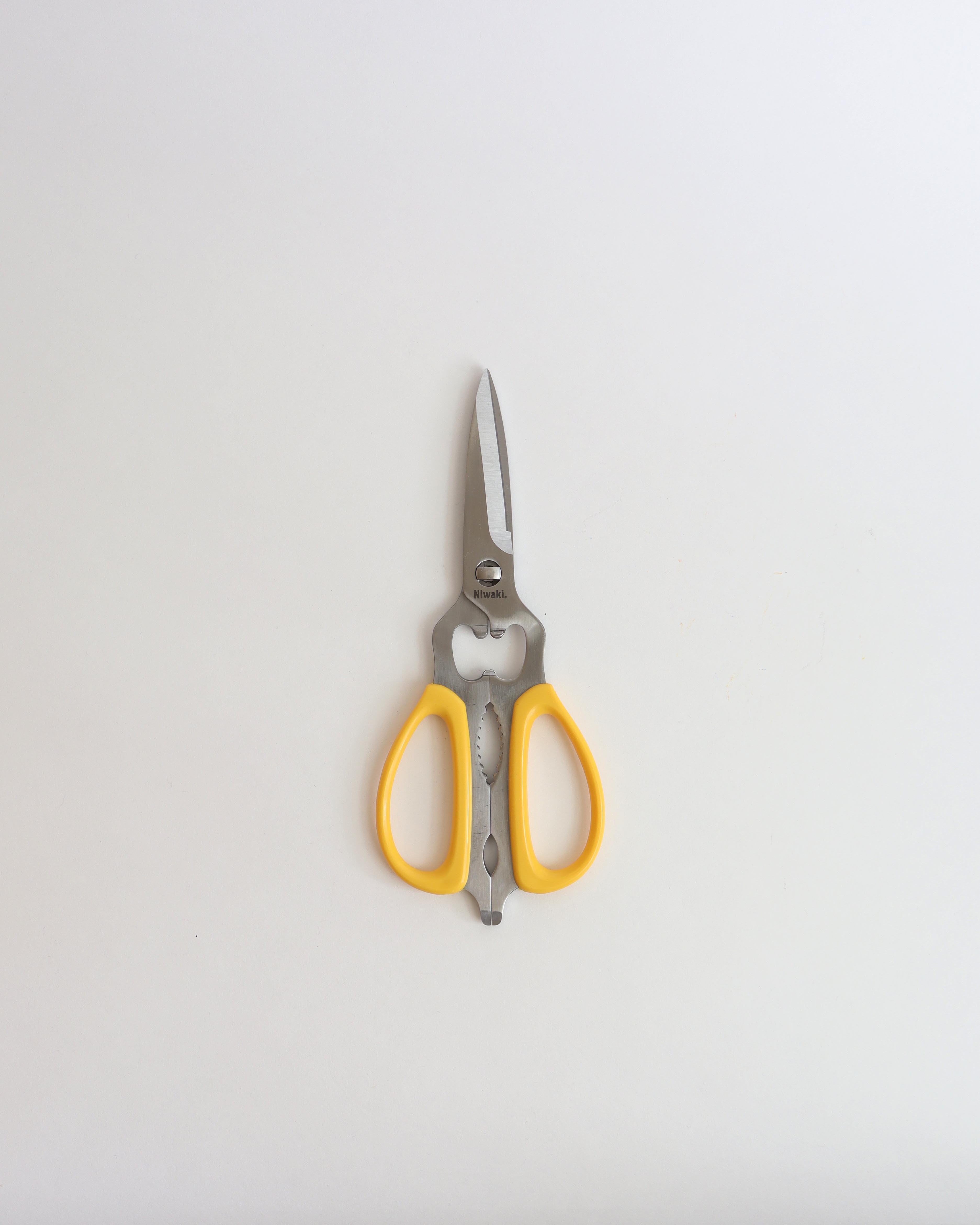 Kitchen Scissors