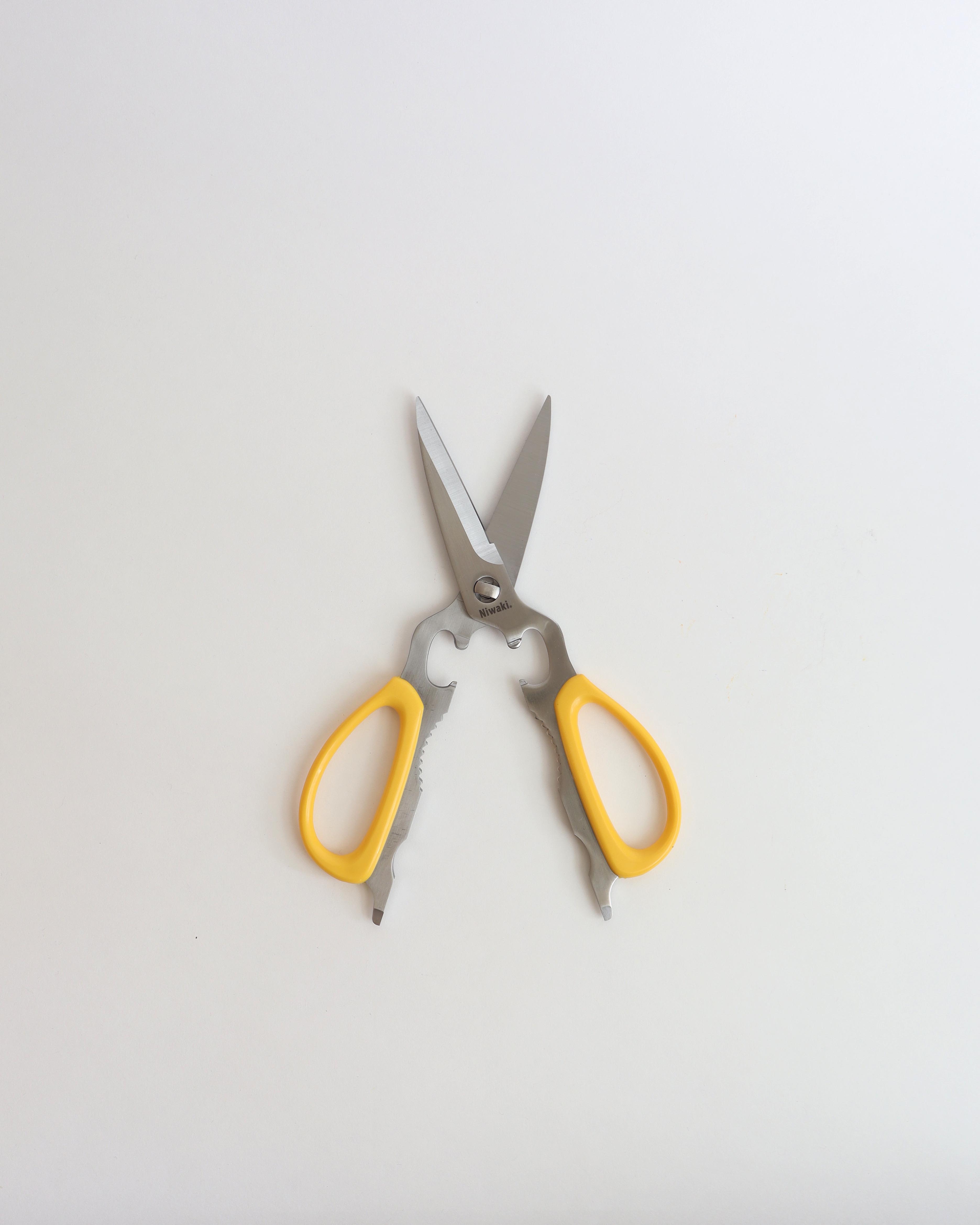 Kitchen Scissors